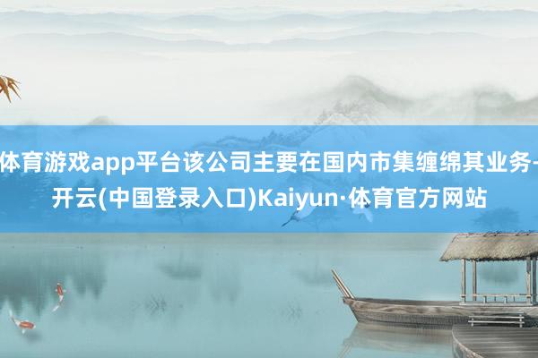 体育游戏app平台该公司主要在国内市集缠绵其业务-开云(中国登录入口)Kaiyun·体育官方网站