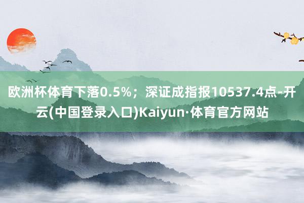 欧洲杯体育下落0.5%；深证成指报10537.4点-开云(中国登录入口)Kaiyun·体育官方网站
