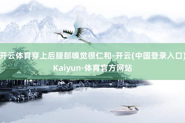 开云体育穿上后腿部嗅觉很仁和-开云(中国登录入口)Kaiyun·体育官方网站