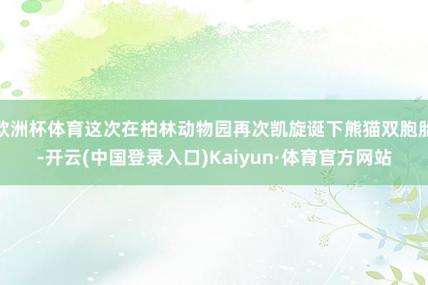 欧洲杯体育这次在柏林动物园再次凯旋诞下熊猫双胞胎-开云(中国登录入口)Kaiyun·体育官方网站