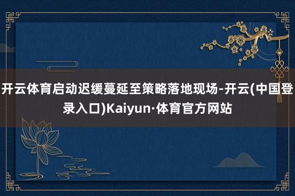 开云体育启动迟缓蔓延至策略落地现场-开云(中国登录入口)Kaiyun·体育官方网站