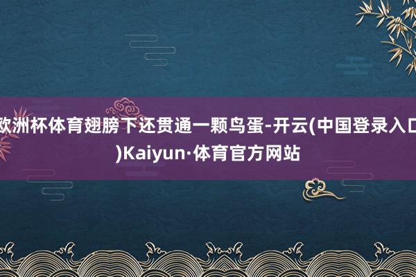 欧洲杯体育翅膀下还贯通一颗鸟蛋-开云(中国登录入口)Kaiyun·体育官方网站