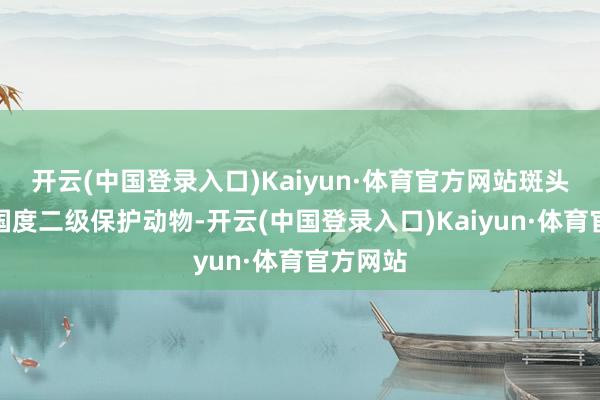 开云(中国登录入口)Kaiyun·体育官方网站斑头鸺鹠是国度二级保护动物-开云(中国登录入口)Kaiyun·体育官方网站