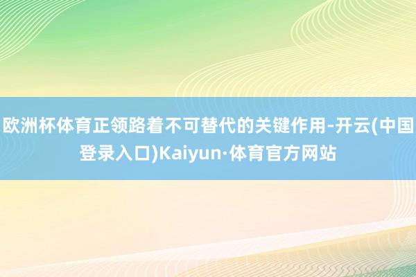 欧洲杯体育正领路着不可替代的关键作用-开云(中国登录入口)Kaiyun·体育官方网站