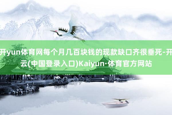 开yun体育网每个月几百块钱的现款缺口齐很垂死-开云(中国登录入口)Kaiyun·体育官方网站