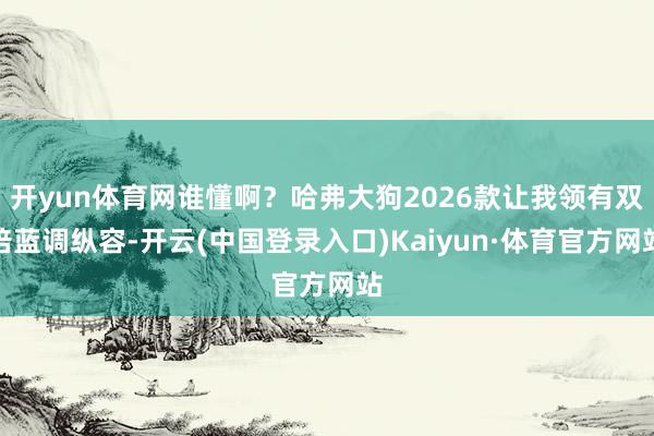 开yun体育网谁懂啊？哈弗大狗2026款让我领有双倍蓝调纵容-开云(中国登录入口)Kaiyun·体育官方网站