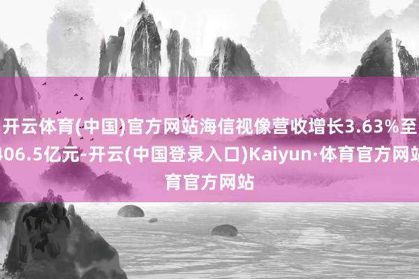 开云体育(中国)官方网站海信视像营收增长3.63%至406.5亿元-开云(中国登录入口)Kaiyun·体育官方网站
