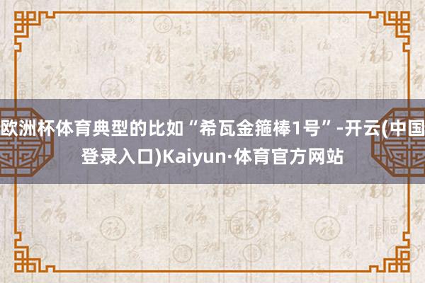 欧洲杯体育典型的比如“希瓦金箍棒1号”-开云(中国登录入口)Kaiyun·体育官方网站