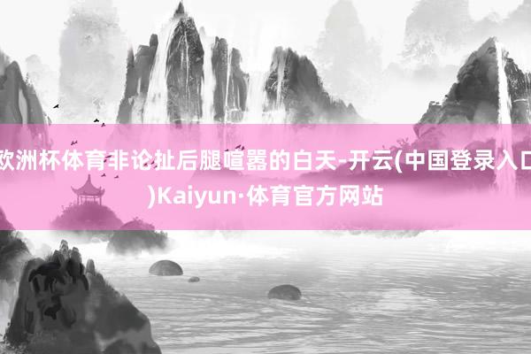 欧洲杯体育非论扯后腿喧嚣的白天-开云(中国登录入口)Kaiyun·体育官方网站