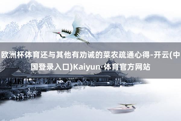 欧洲杯体育还与其他有劝诫的菜农疏通心得-开云(中国登录入口)Kaiyun·体育官方网站