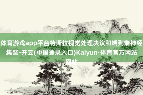 体育游戏app平台特斯拉视觉处理决议和端到端神经集聚-开云(中国登录入口)Kaiyun·体育官方网站