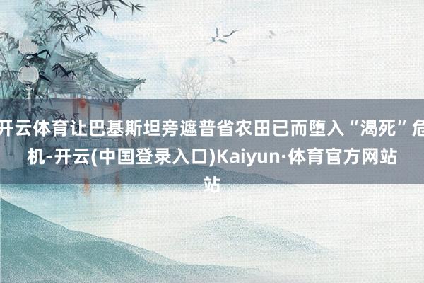 开云体育让巴基斯坦旁遮普省农田已而堕入“渴死”危机-开云(中国登录入口)Kaiyun·体育官方网站