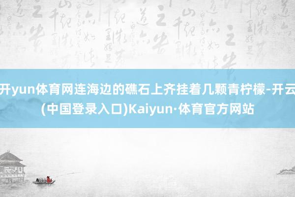 开yun体育网连海边的礁石上齐挂着几颗青柠檬-开云(中国登录入口)Kaiyun·体育官方网站
