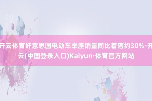 开云体育好意思国电动车举座销量同比着落约30%-开云(中国登录入口)Kaiyun·体育官方网站