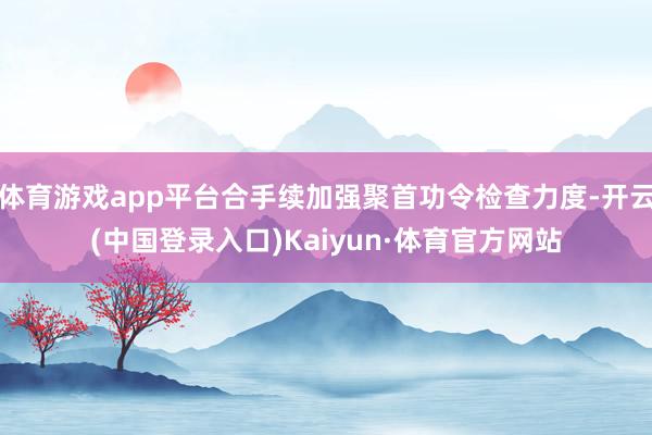 体育游戏app平台合手续加强聚首功令检查力度-开云(中国登录入口)Kaiyun·体育官方网站